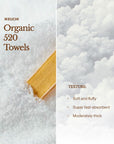 Imabari Towel | Organic 520