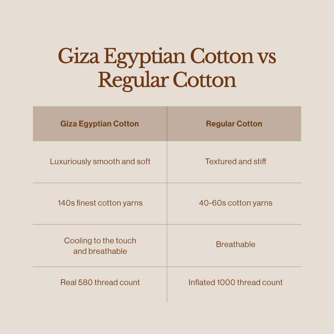 Giza Egyptian Cotton Move-in Bundle