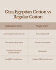 Giza Egyptian Cotton Move-in Bundle