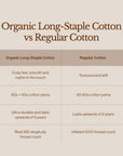 Organic Long-Staple Cotton Bedsheet Set